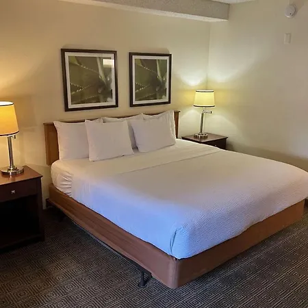 La Quinta By Wyndham Orlando South Hotel Williamsburg Exterior foto