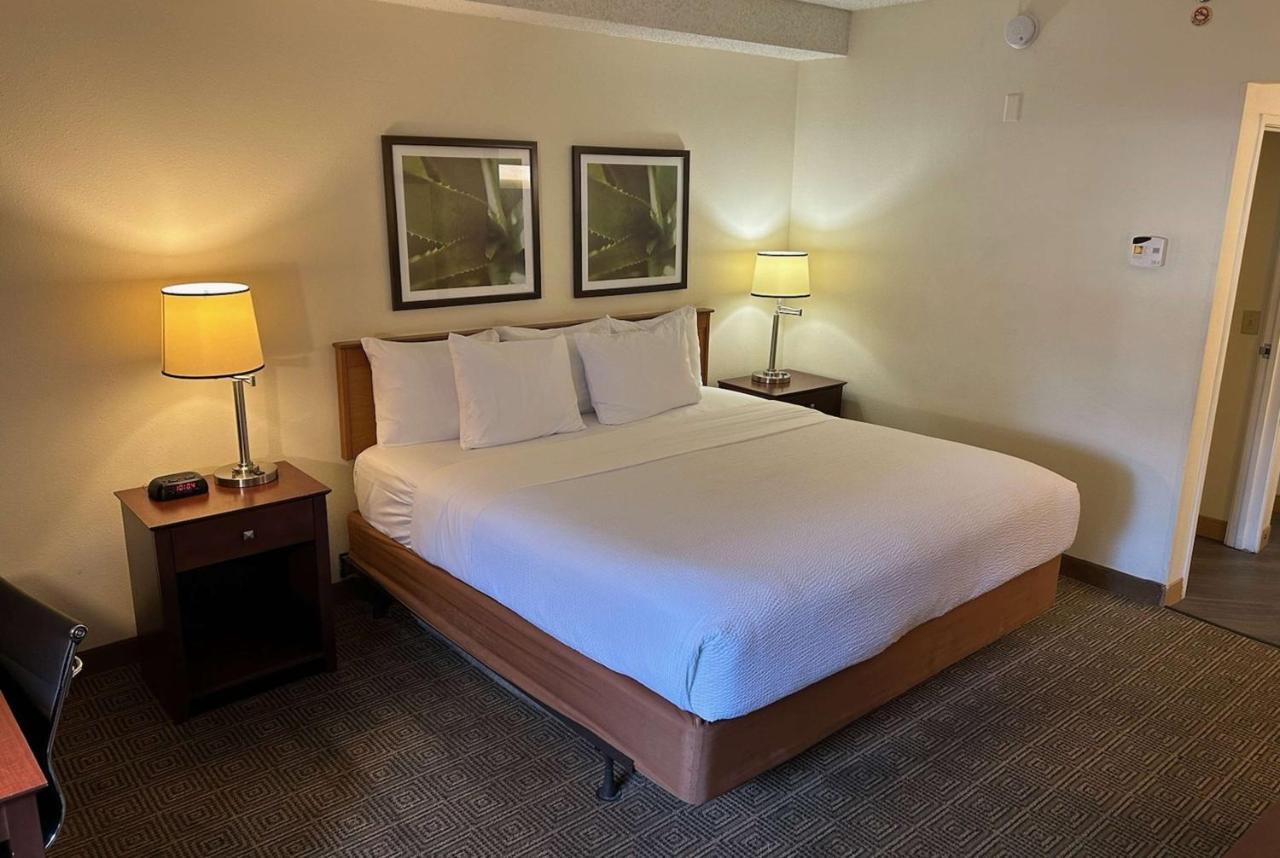 La Quinta By Wyndham Orlando South Hotel Williamsburg